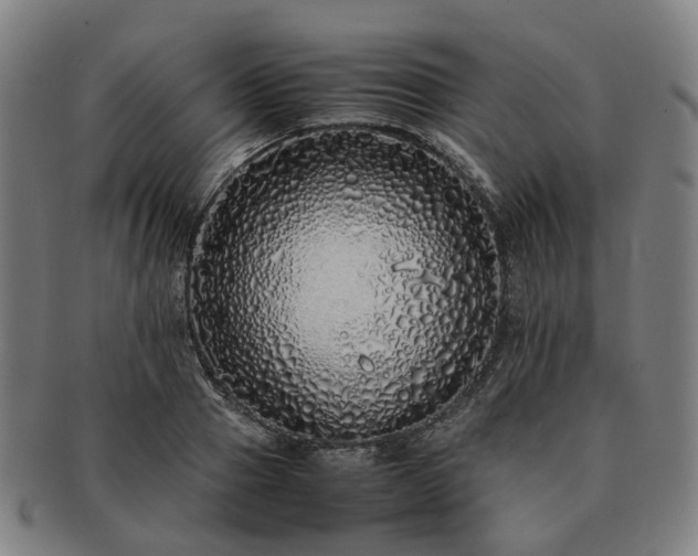 X0000091490937200708231419