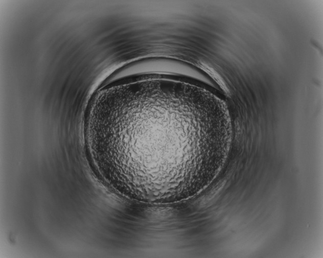 X0000091490939200708231419