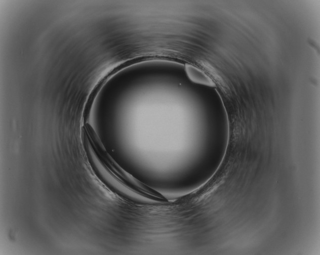 X0000091490940200708231419