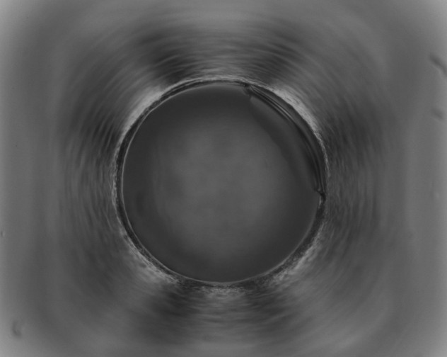 X0000091490941200708231419