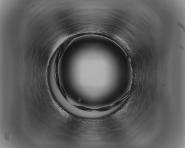 X0000091490942200708231419