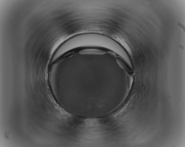 X0000091490944200708231419