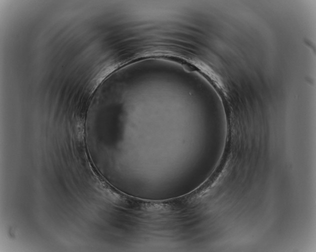 X0000091490945200708231419