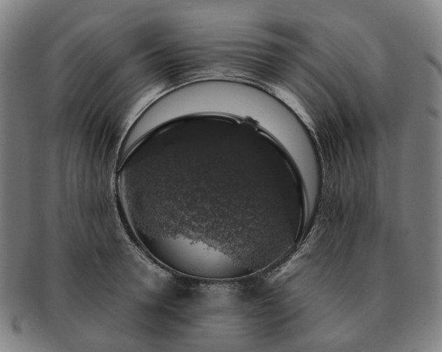X0000091490946200708231419