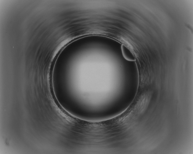 X0000091490947200708231419