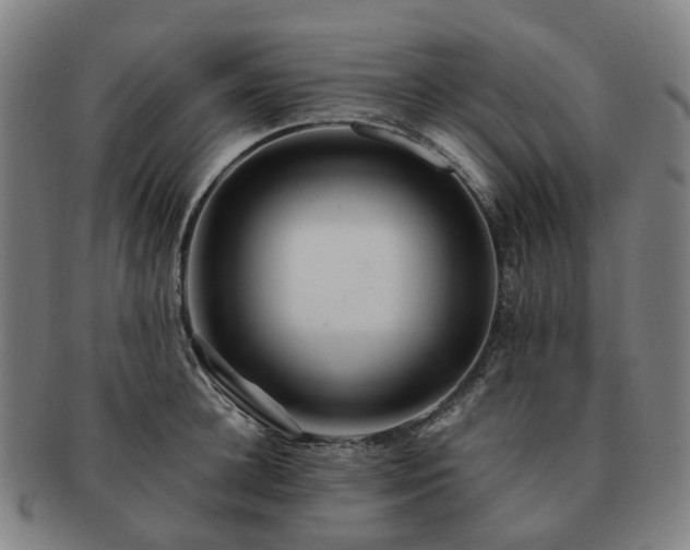 X0000091490948200708231419