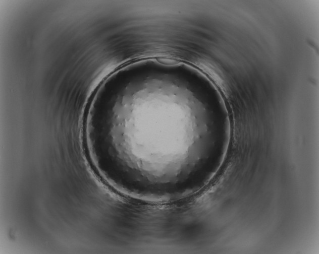 X0000091490949200708231419