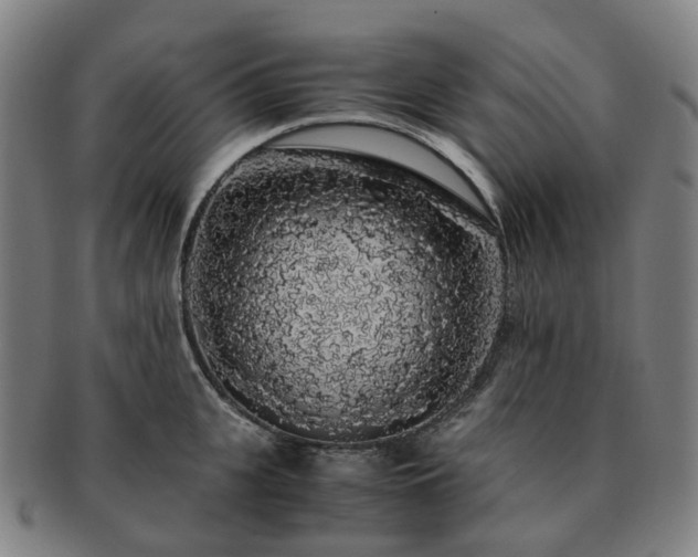 X0000091490951200708231419