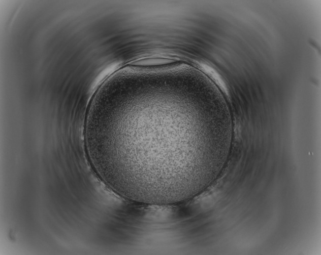 X0000091490954200708231419