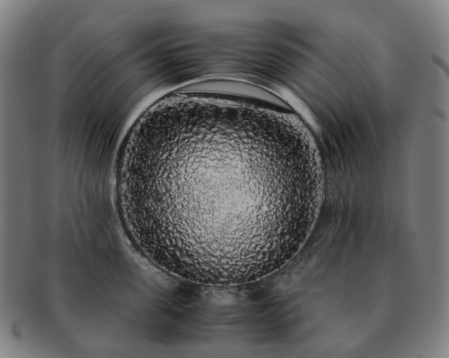 X0000091490955200708231419