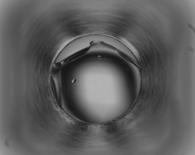 X0000091490956200708231419