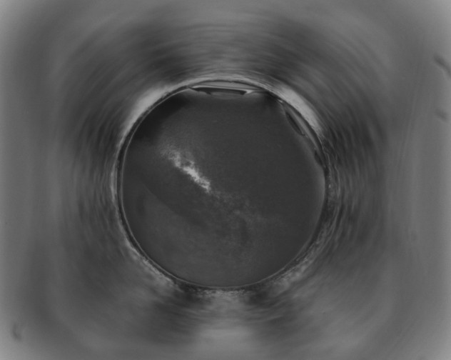 X0000091490958200708231419