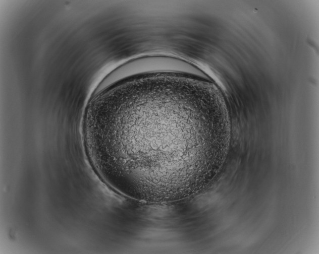X0000091490959200708231419