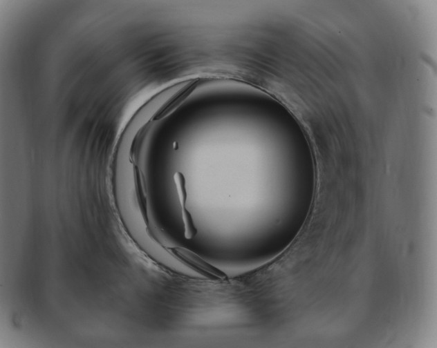 X0000091490960200708231419