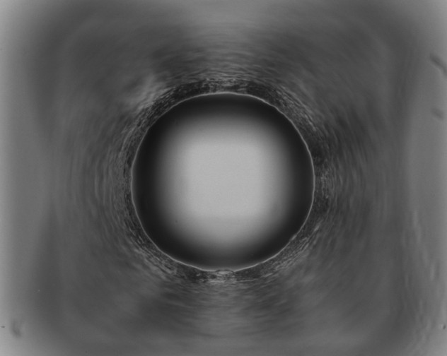 X0000091490961200708231419