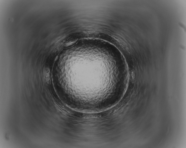 X0000091490963200708231418