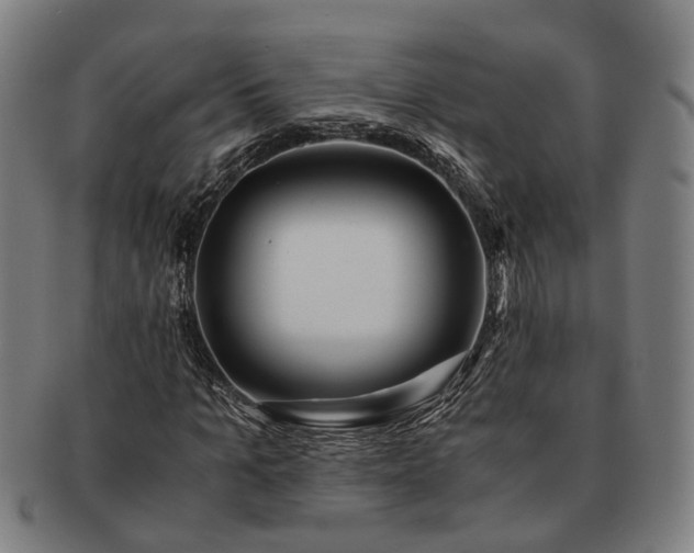 X0000091490965200708231418