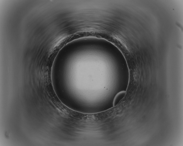 X0000091490968200708231418