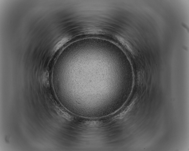 X0000091490970200708231418