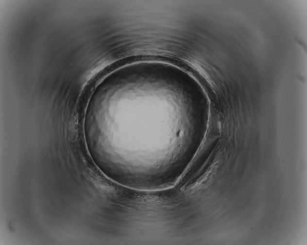 X0000091490971200708231418
