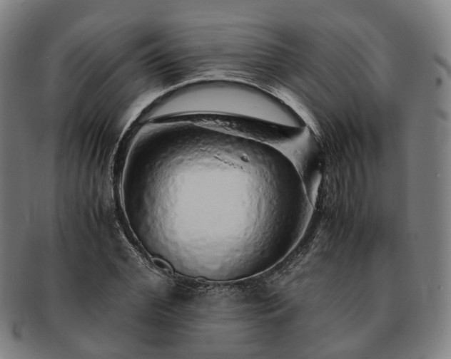 X0000091490972200708231418
