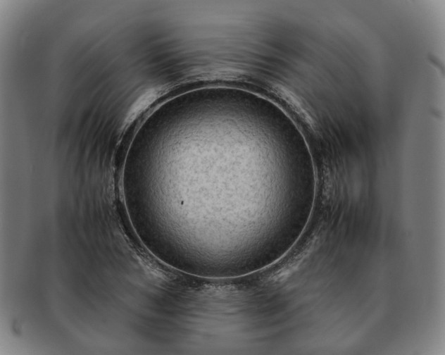 X0000091490978200708231418