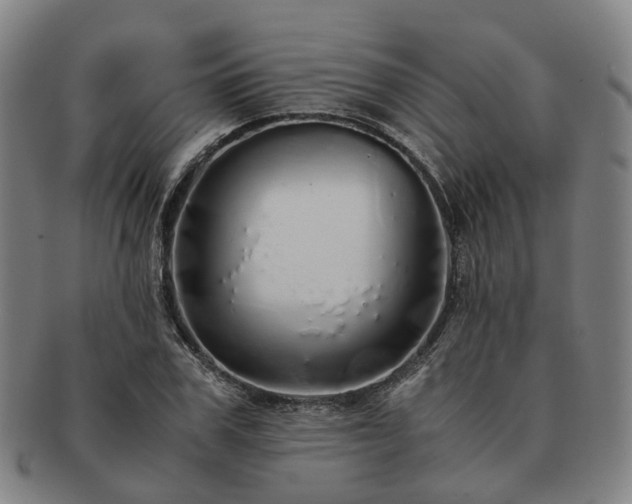 X0000091490979200708231418