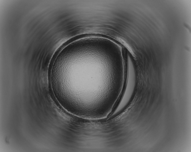 X0000091490980200708231418