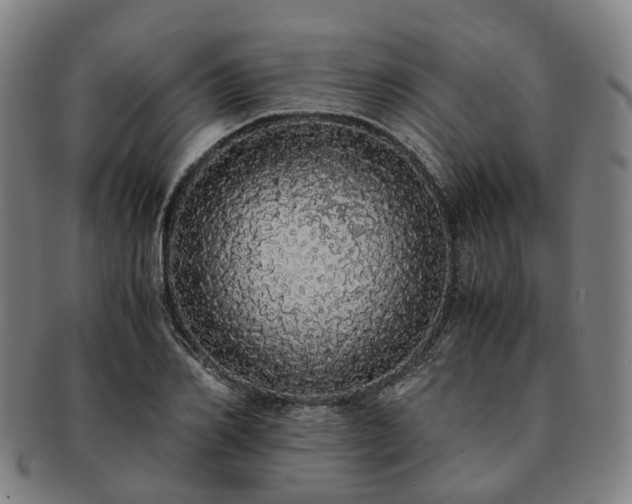 X0000091490982200708231418