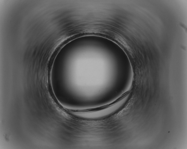 X0000091490984200708231418
