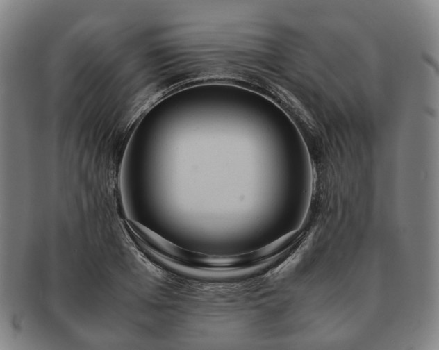 X0000091490985200708231418