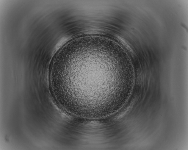 X0000091490986200708231418