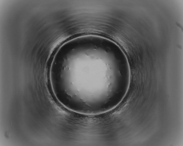 X0000091490987200708231418