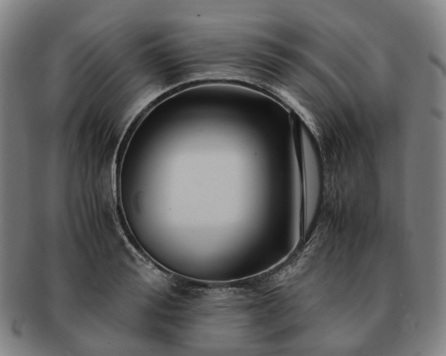 X0000091490988200708231418