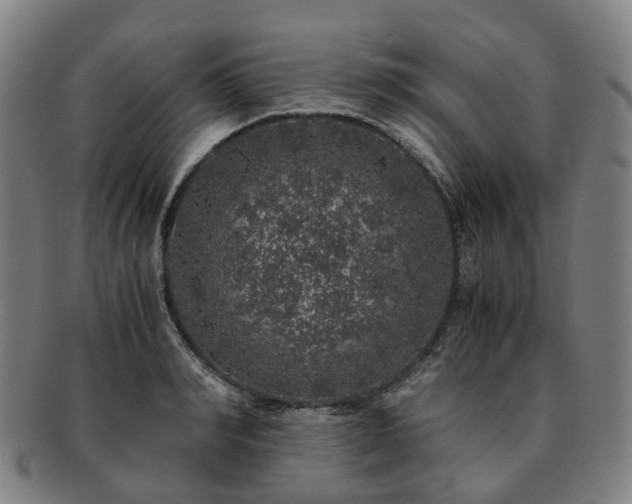 X0000091490990200708231418