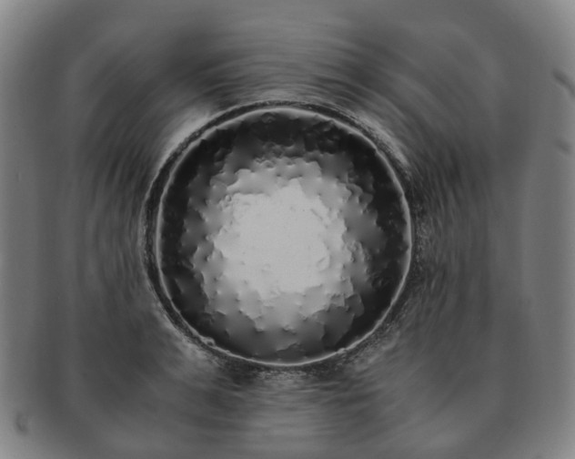 X0000091490991200708231418