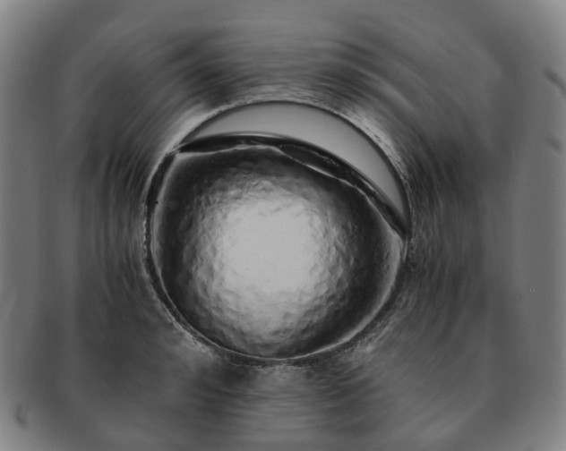 X0000091490992200708231418