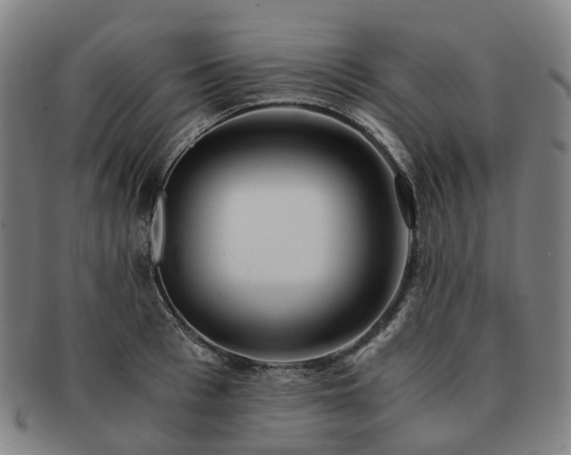 X0000091490993200708231418
