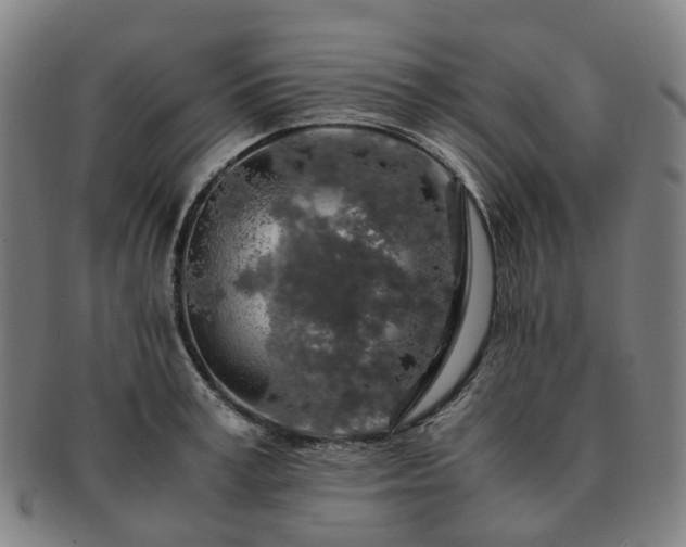 X0000091490995200708231418
