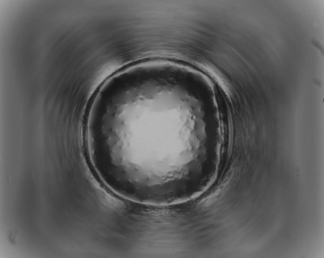X0000091490999200708231418