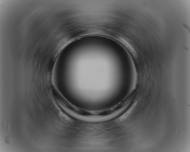 X0000091491001200708231418