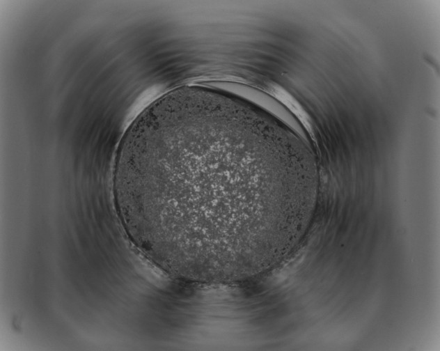 X0000091491002200708231418