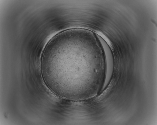 X0000091491004200708231418