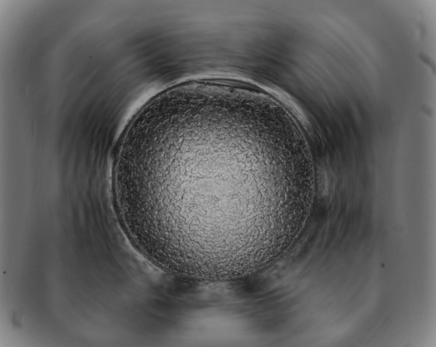 X0000091491006200708231418