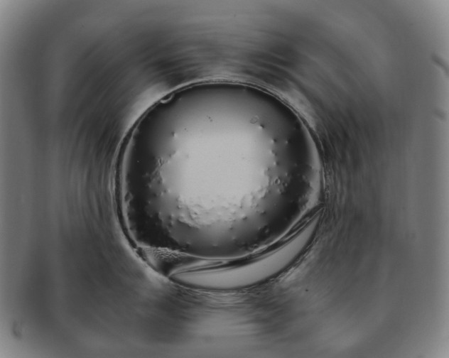 X0000091491007200708231418