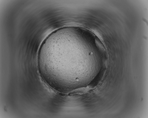 X0000091491008200708231418