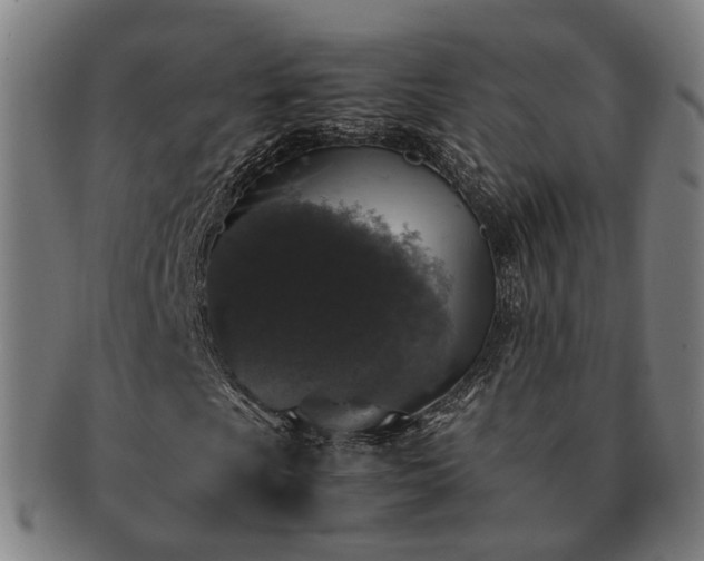 X0000091491009200708231417