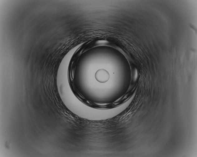 X0000091491010200708231417
