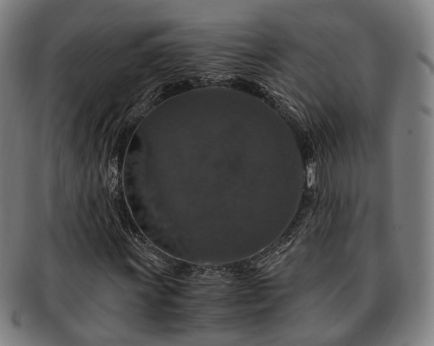 X0000091491011200708231417