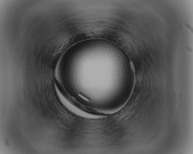 X0000091491012200708231417